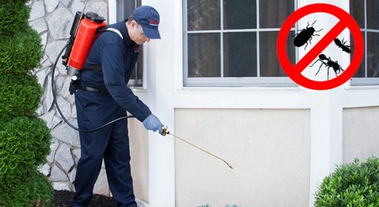 Çatak Akrep İlaçlama böcek ilaçlama ve haşere kontrolü — ilaclama-tr.com